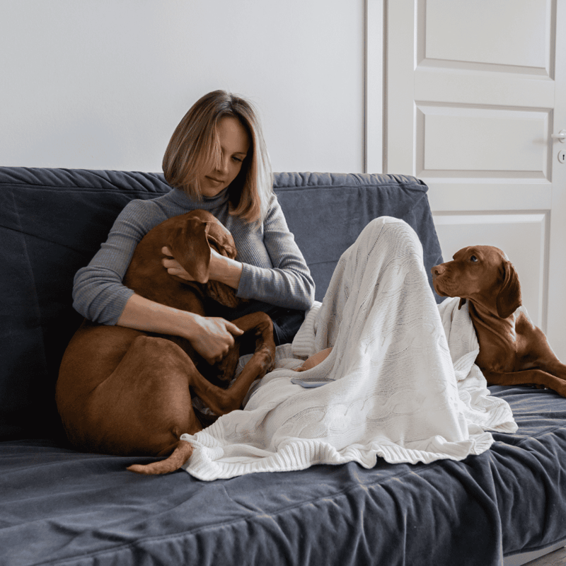 Loving woman cuddling two adorable dogs on sofa at home. Relaxing moment with pets, comfort, companionship.