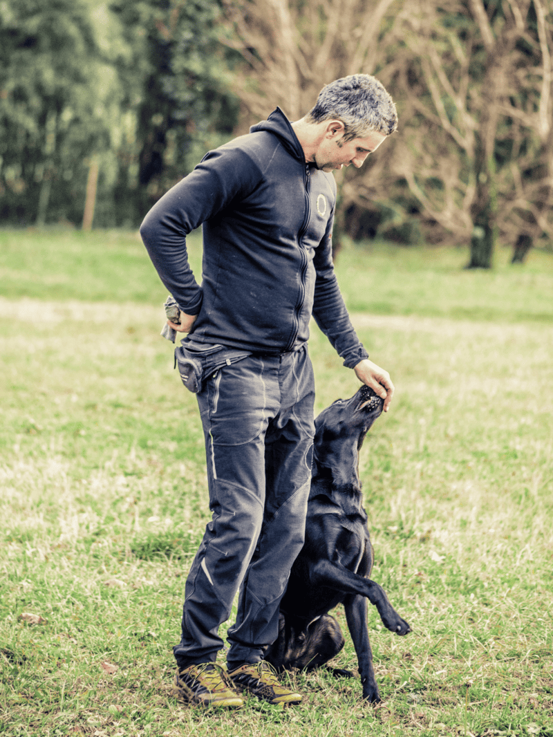 High-quality dog training in nature setting.