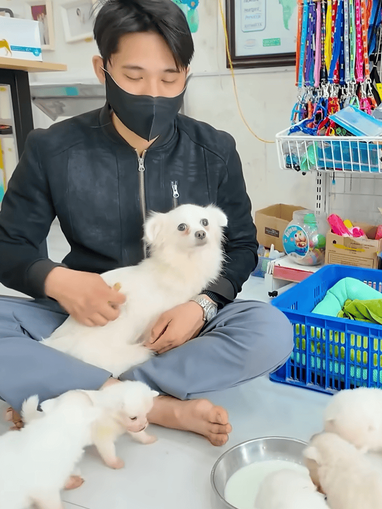 Adorable white puppy with big eyes sitting on person's lap.