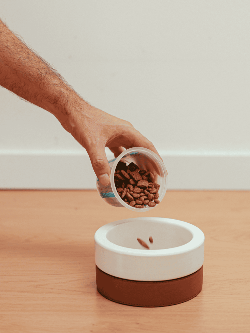 Alt text: Hand pouring dry dog food into a bowl on a wooden floor.