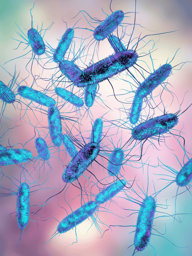 Highly detailed image of blue and purple bacteria under microscope.