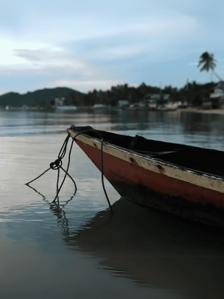 Dogfix.com - pet care, dog training, and grooming services.