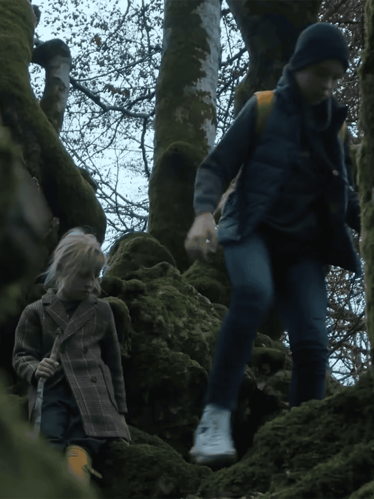 Dog-friendly forest adventure scene.