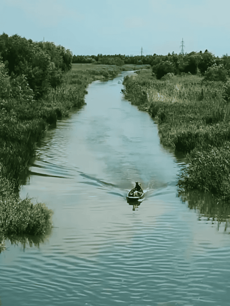 Scenic river surrounded by lush green vegetation.