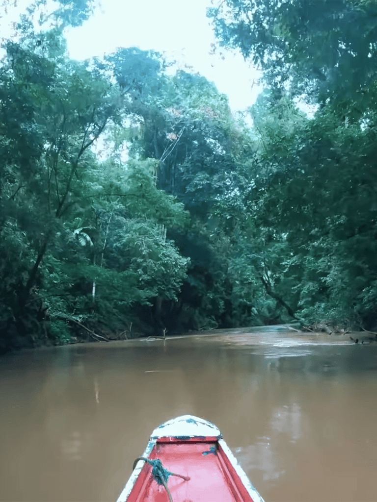 Dogfix.com - Adventure in dense jungle river environment.