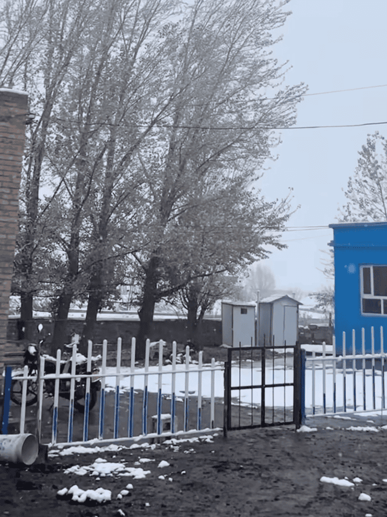Snow-covered trees and yard with blue house, fence, and overcast sky.