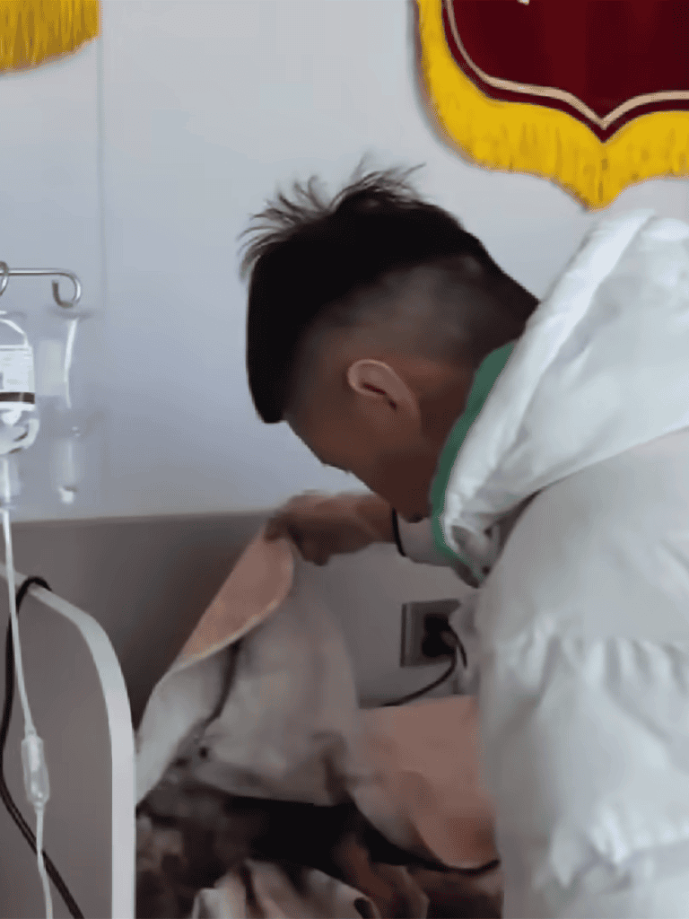 Alt: Vet caring for dog in clinic with medical equipment and friendly environment.