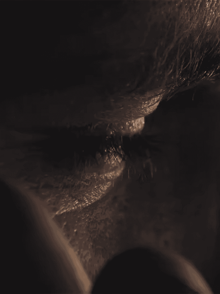 Close-up of a wet, detailed dog nose highlighting texture and moisture.