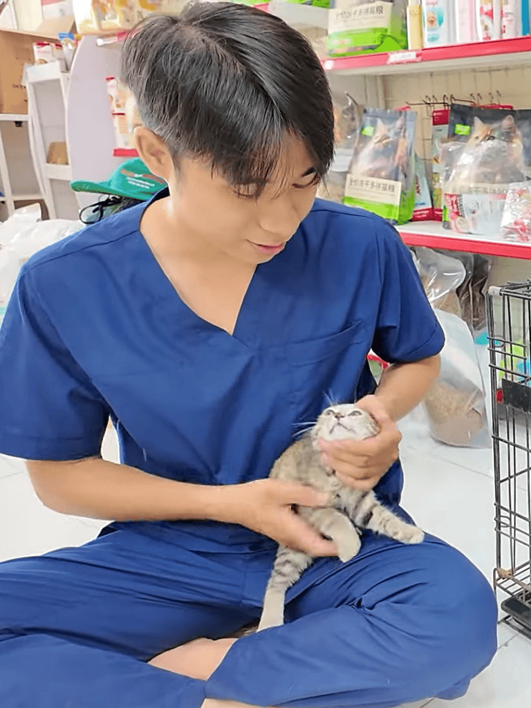 Young veterinarian holding a kitten in a pet store.
