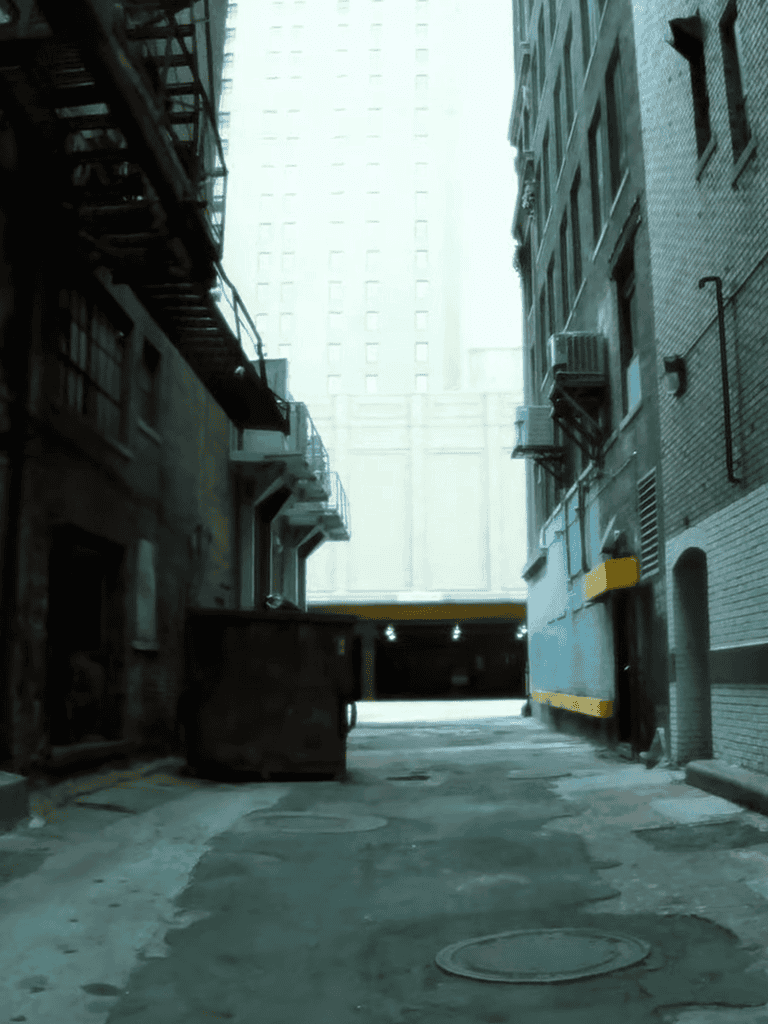 Dark alley with buildings, fire escape, and dumpsters.