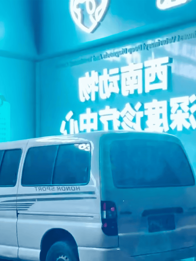 Modern dog transport vans at Dogfix.com for pet travel and safety solutions.