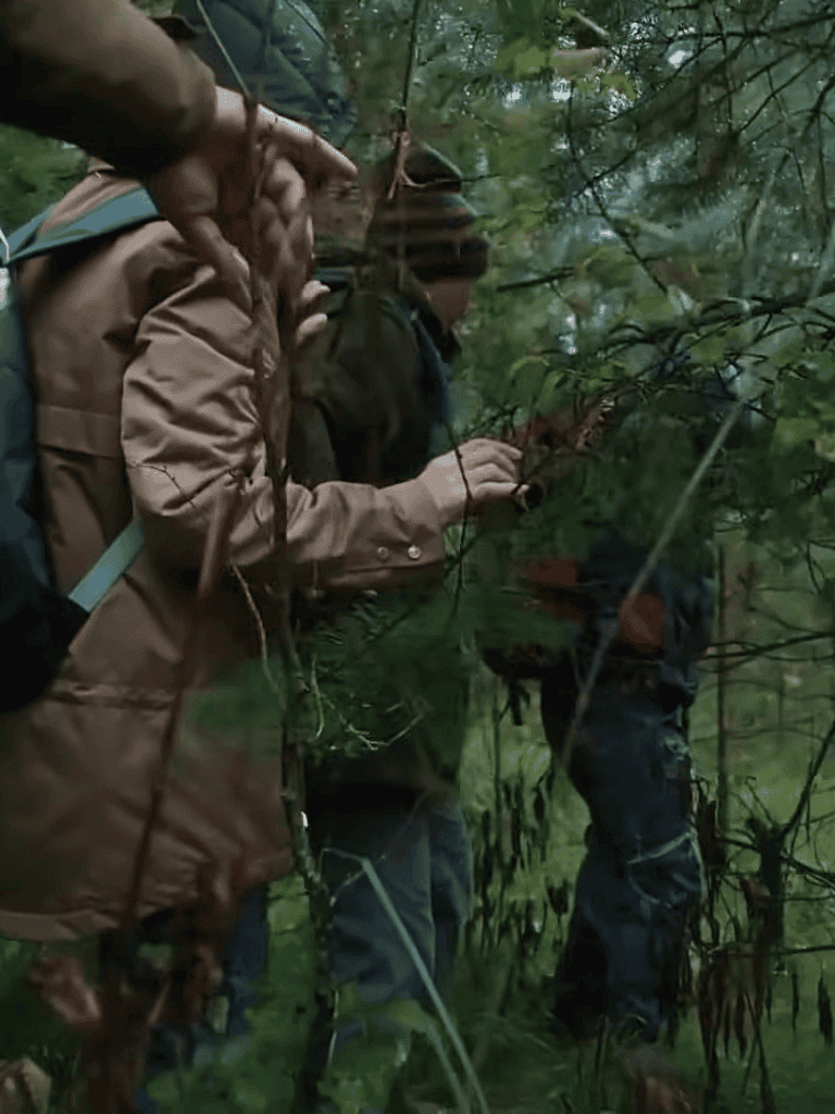 SAR tracking dog working in wilderness detection, search and rescue in forest environment.