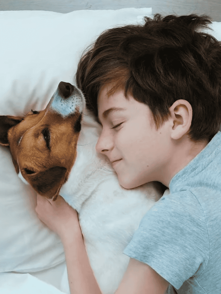 Close-up of a young boy and his dog sharing a tender moment on the pet bed, highlighting the emotional bond and comfort.