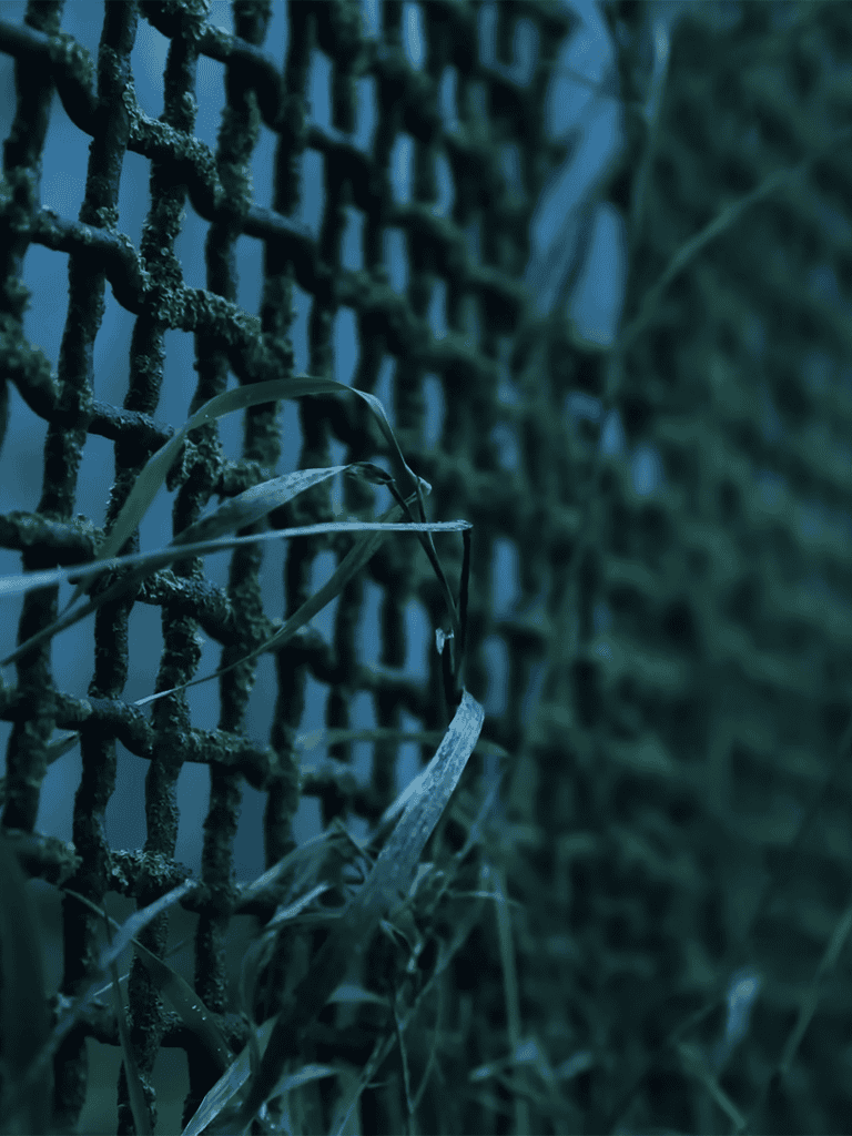 Close-up of a rusty metal fence with green overgrown grass and plants, emphasizing damaged outdoor fencing.
