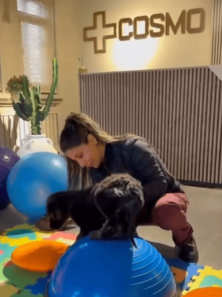 Dog training and play area at COSMO clinic with a woman and a playful puppy.