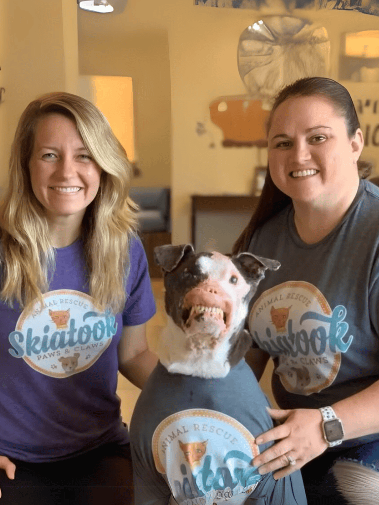 Dog rescue, pet rescue, animal rescue, dog rescue team, pet adoption.