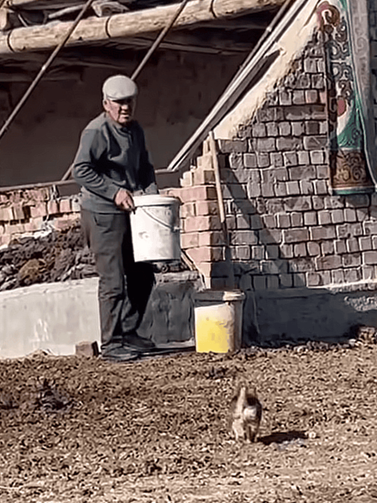 Man pouring cement, small dog playing nearby outdoors construction site.