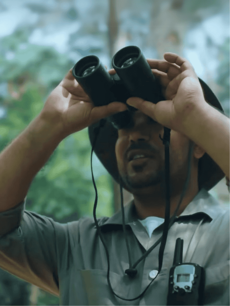 Binoculars for birdwatching in nature.