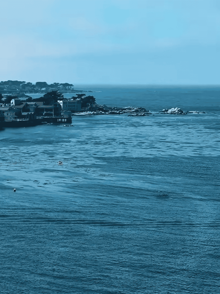 Scenic seaside view of ocean with houses along the shoreline.