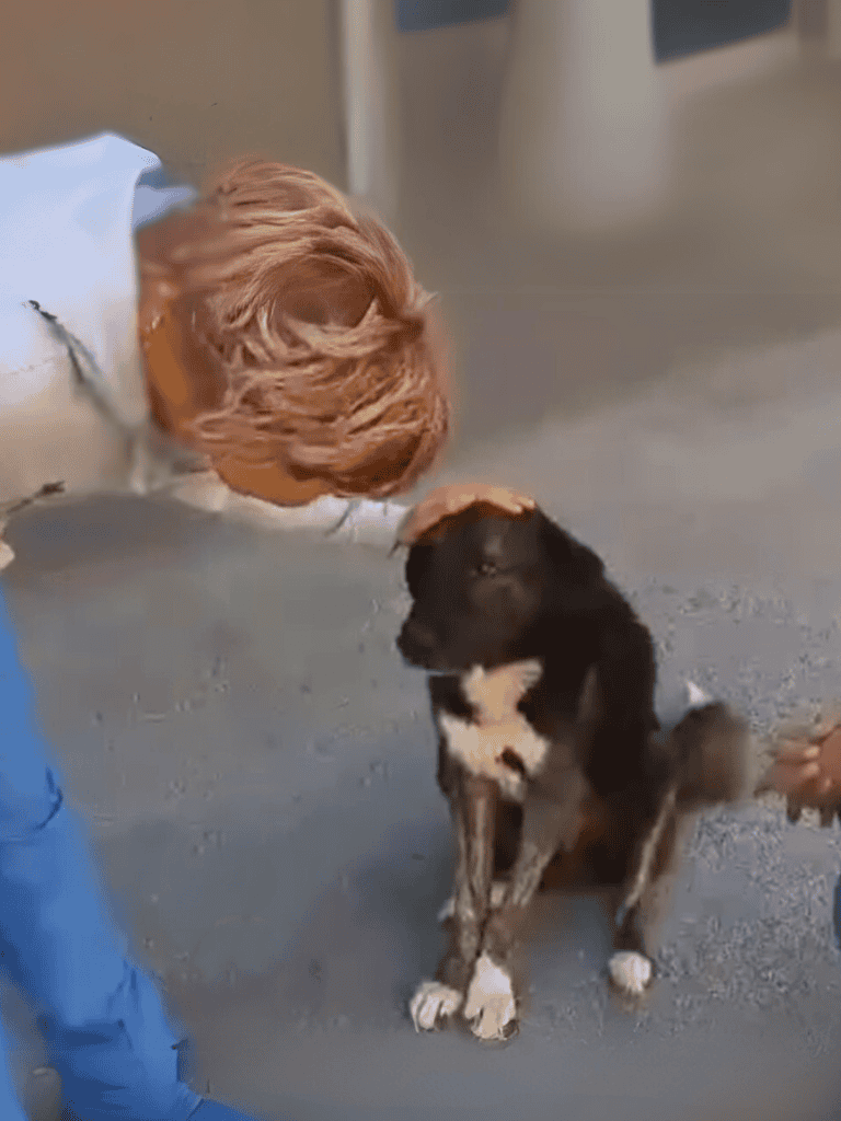 Dog and owner greeting with tails wagging and happy expressions.