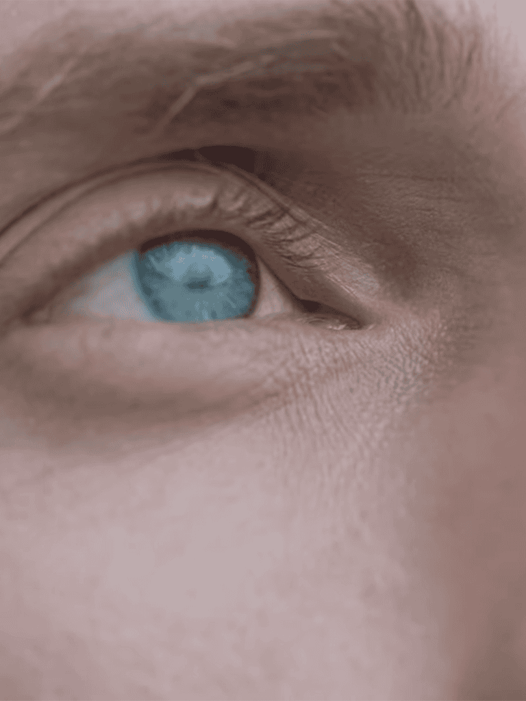 Close-up of a bright blue eye of an Eskimo dog, highlighting its unique and stunning eye color.