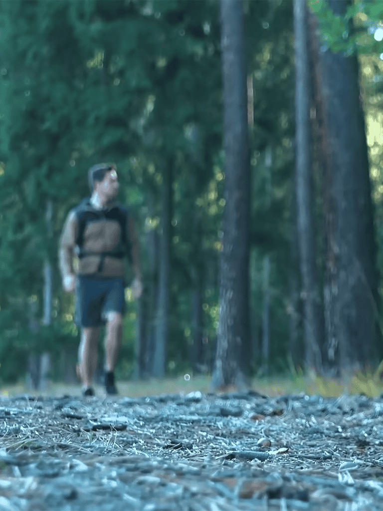Outdoor dog hiking adventure in nature.