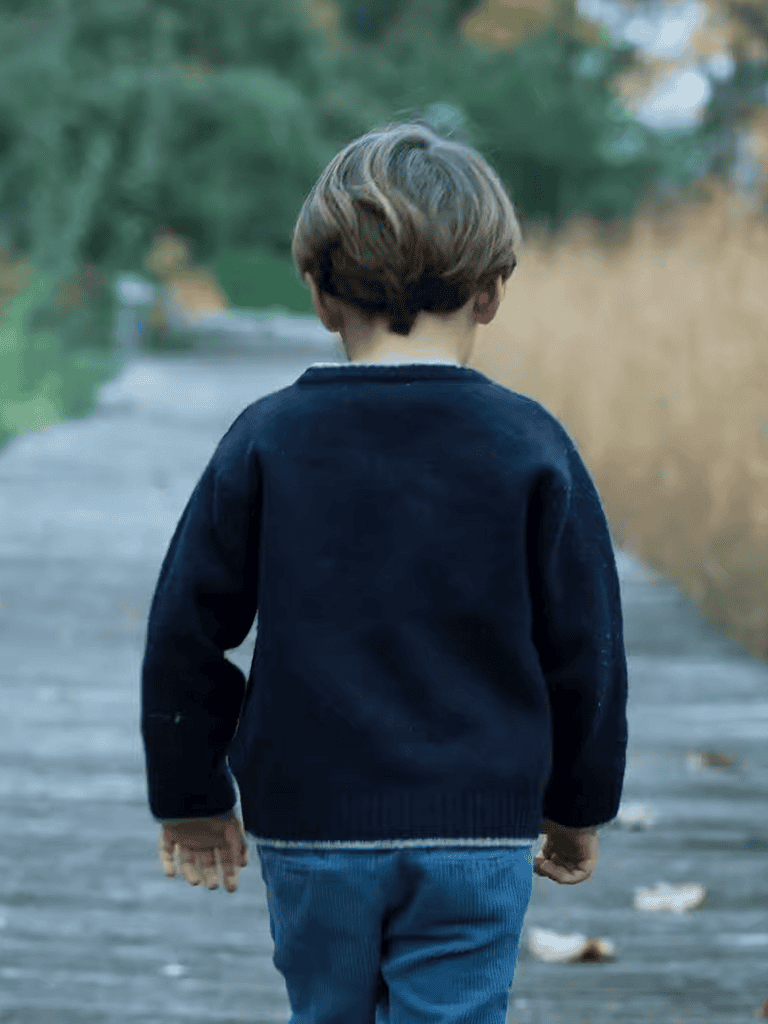 Child walking outdoors, back view, on a wooden path in nature, wearing blue pants and a navy sweater.