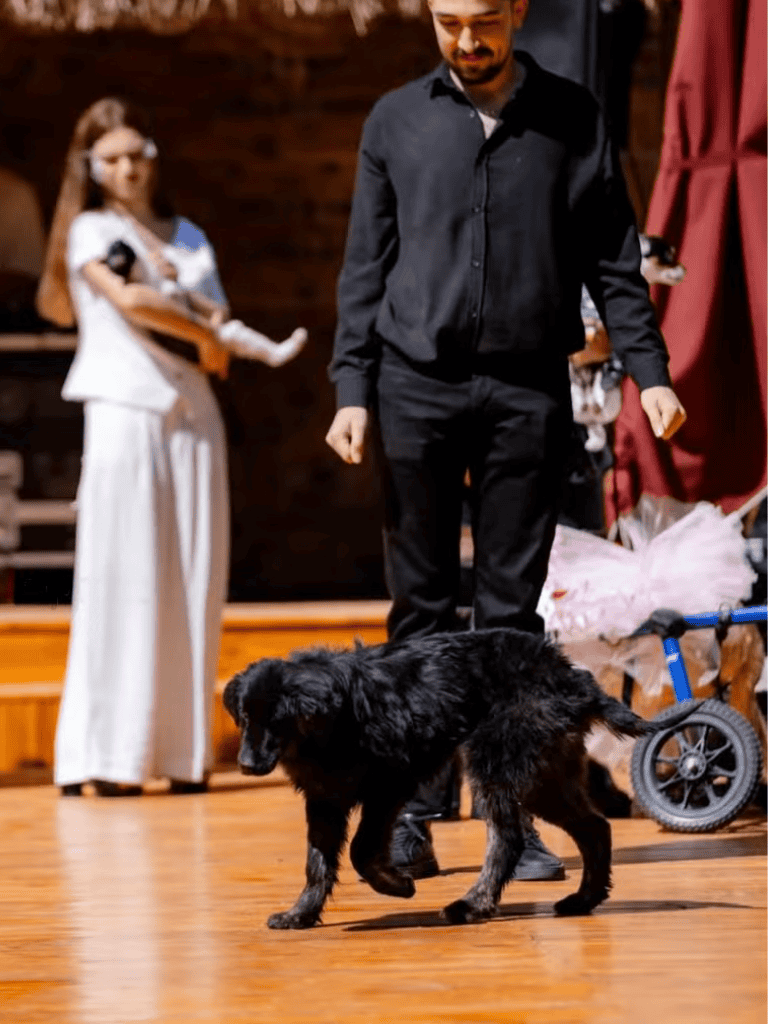 Friendly black dog and handler in indoor training environment.