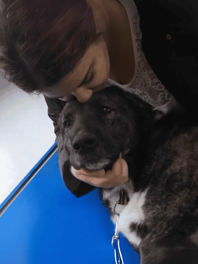 Close-up of woman hugging her happy brindle dog.