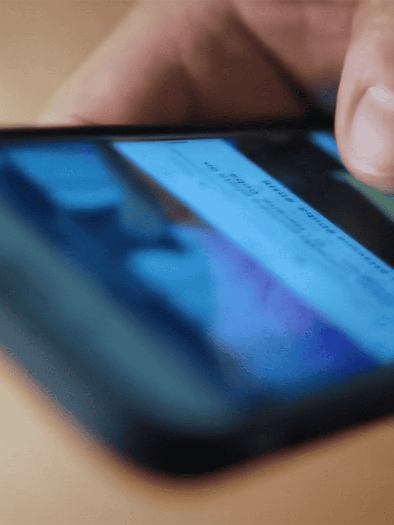 Alt: Person checking notifications on smartphone for pet care updates and reminders.