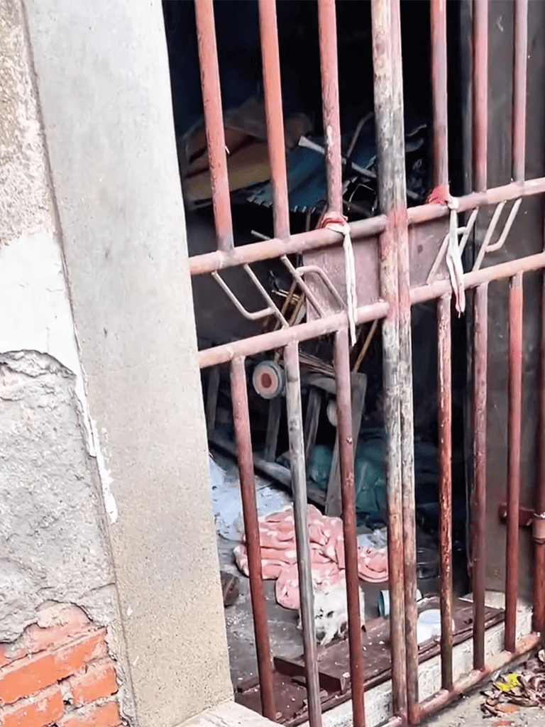 Dogfix.com dog waste disposal storage solution for secure pet waste management.