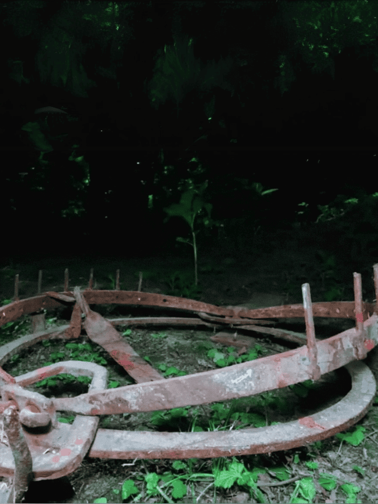 Rusted metal wheelbarrow abandoned outdoors surrounded by greenery.