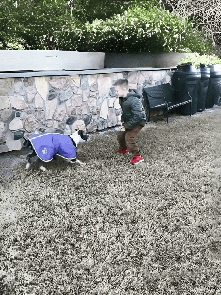 Cute dog in coat playing fetch with boy outside.
