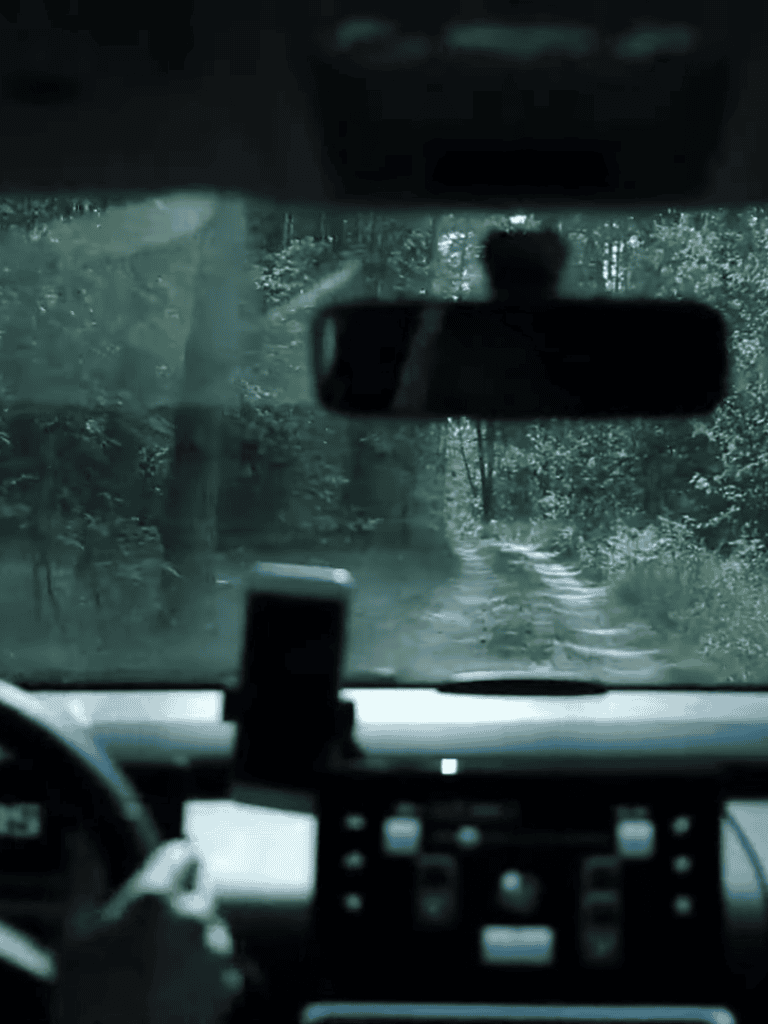 Rearview mirror shows lush green woods on forest road.