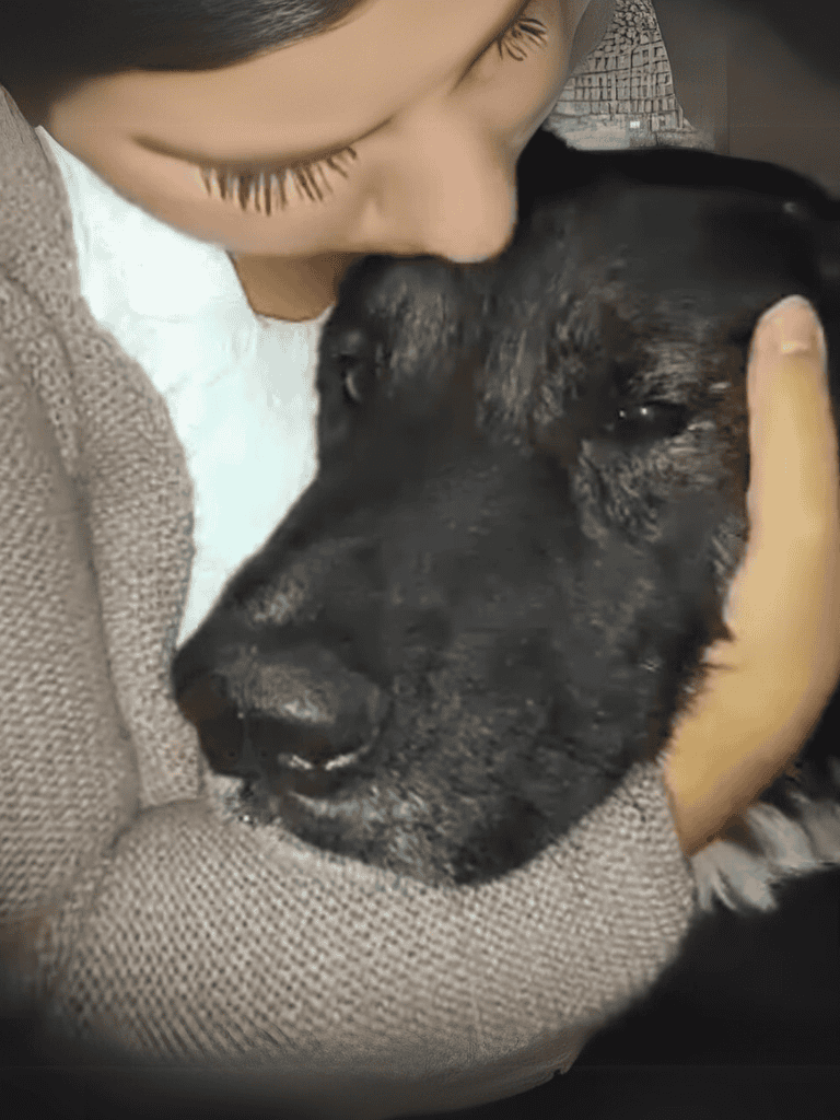 Adorable dog cuddling with owner, showing affection and bond.