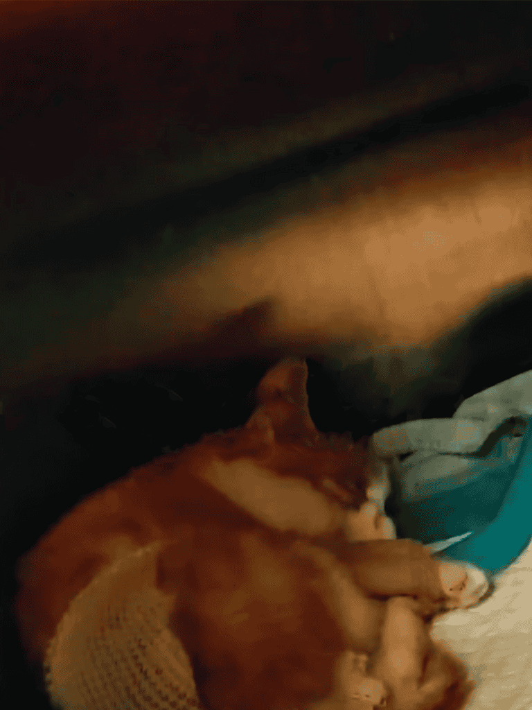 Adorable ginger Corgi resting peacefully on blankets, showcasing comfort and relaxation.