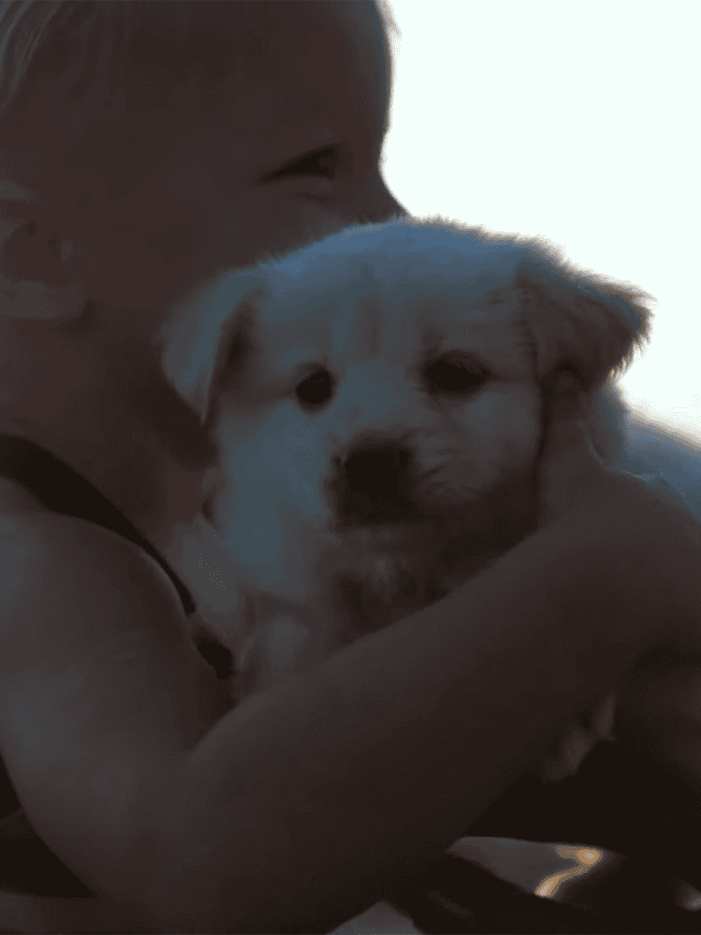 Adorable puppy being hugged by a smiling child, showcasing pet companionship and early dog adoption moments.