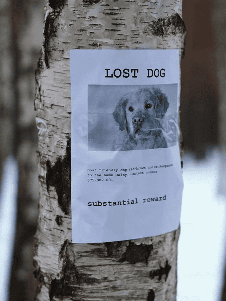 Lost dog poster on tree with picture and contact details.