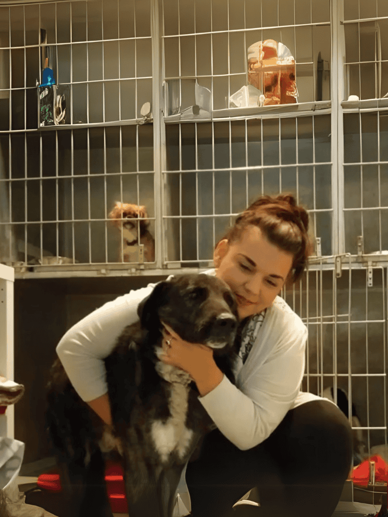 Dog shelter with happy dogs and caring staff for pet rescue and adoption.