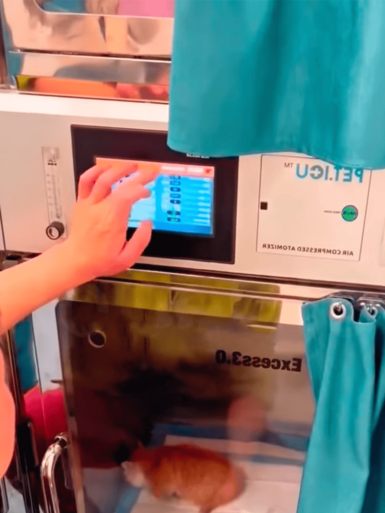 Screen for pet health records and diagnostics at vet clinics.