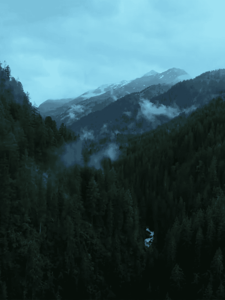 Beautiful mountain scenery with dense pine forests and misty clouds in a peaceful natural setting.