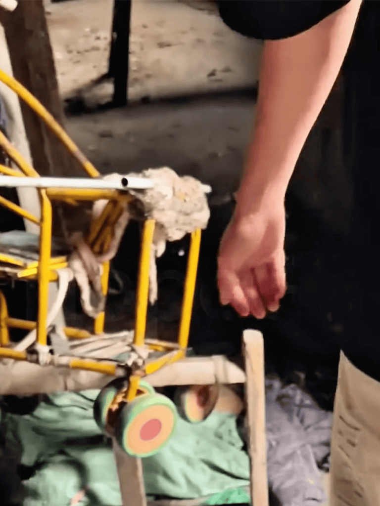 Pet surgery in action at Dogfix.com, emphasizing professional dog health services and veterinary surgery.