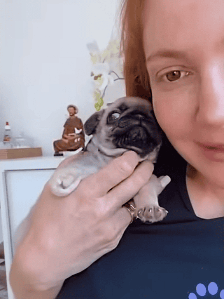 Adorable pug puppy cuddling with a woman, happy pet adoption, rescue dog care, dog rescue service.