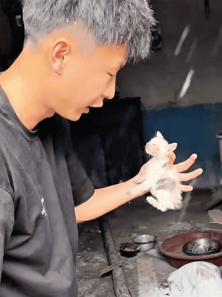Caring person holding adorable, fluffy puppy, showing love and bonding in a cozy home environment.