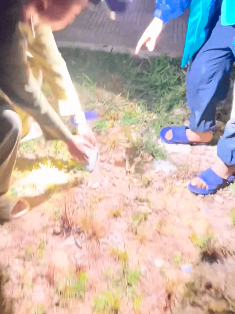 Assisting a rescue dog in outdoor rescue efforts at night.