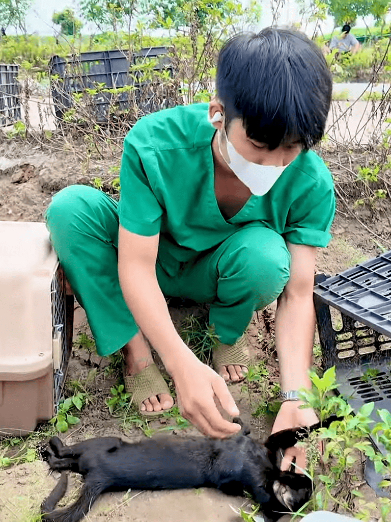 An individual planting young plants outdoors in a garden or farm setting, emphasizing environmental conservation and organic gardening practices.