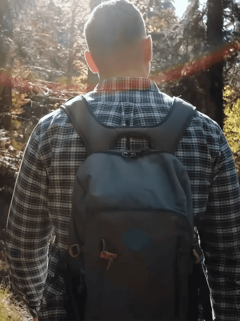 Back view of hiker with gear in nature forest trail.