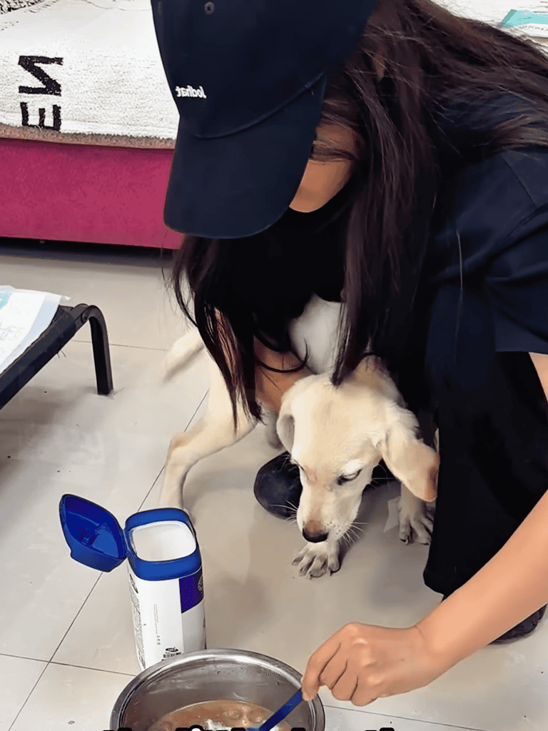 Dog care and companionship training with a helper and a puppy.