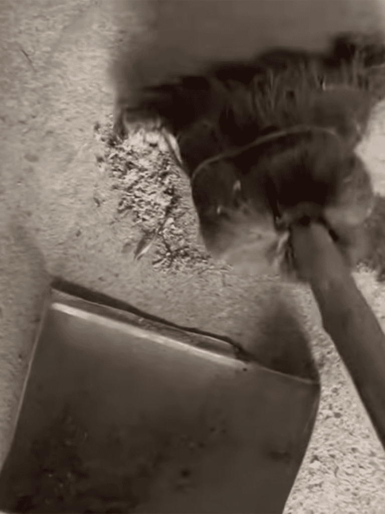 Dog digging in dirt outside.