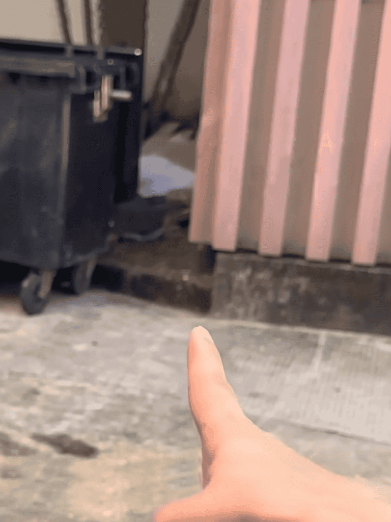 Dog hiding under wooden slats near trash bin.